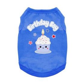 NEW Birthday Boy Tank Shirt (Option: X-Small)
