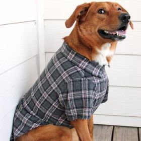 Flannel Dog Shirt - Dark Grey and Pink Plaid (Option: XX-Small)