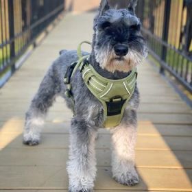 Venture Paw PULL CONTROL Harness - Aspen -          Made with tough Outer Duck Fabric and Soft Mesh Lining. No Pulling / Front and Top D-Ring (Option: X-Small)