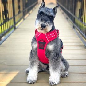 Venture Paw PULL CONTROL Harness - Crimson -          Made with tough Outer Duck Fabric and Soft Mesh Lining. No Pulling / Front and Top D-Ring (Option: X-Small)