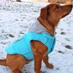 Weekender Dog Sweatshirt Hoodie - Light Blue (Option: X-Large)